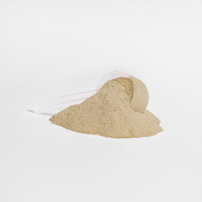 F3: Fava Force Fuel- Plant Protein (Vanilla)