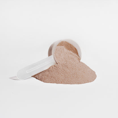 F3: Fava Force Fuel-Plant Protein (Chocolate)